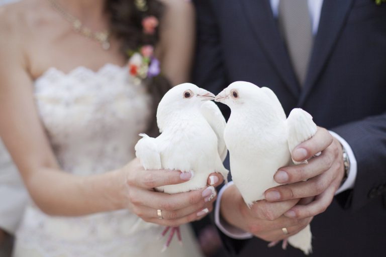 dove+wedding-1920w